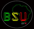 Illinois Institute of Technology's Black Student Union